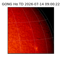 gong - 2026-07-14T09:00:22