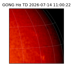 gong - 2026-07-14T11:00:22