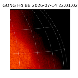 gong - 2026-07-14T22:01:02
