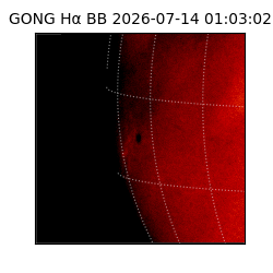 gong - 2026-07-14T01:03:02