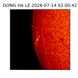 gong - 2026-07-14T02:00:42