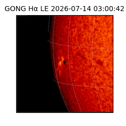 gong - 2026-07-14T03:00:42