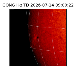 gong - 2026-07-14T09:00:22