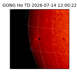 gong - 2026-07-14T12:00:22