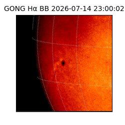 gong - 2026-07-14T23:00:02