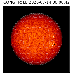 gong - 2026-07-14T00:00:42