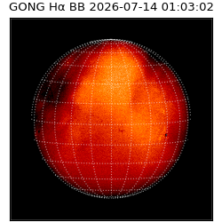 gong - 2026-07-14T01:03:02