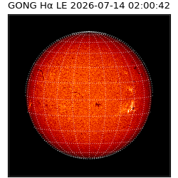 gong - 2026-07-14T02:00:42