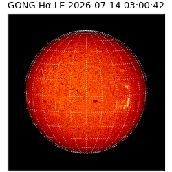 gong - 2026-07-14T03:00:42