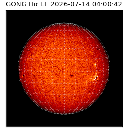 gong - 2026-07-14T04:00:42