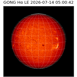 gong - 2026-07-14T05:00:42