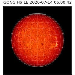 gong - 2026-07-14T06:00:42