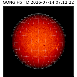 gong - 2026-07-14T07:12:22