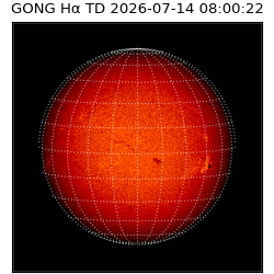 gong - 2026-07-14T08:00:22