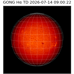gong - 2026-07-14T09:00:22