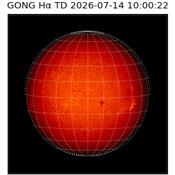 gong - 2026-07-14T10:00:22