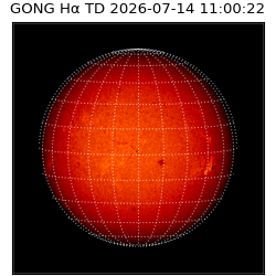 gong - 2026-07-14T11:00:22