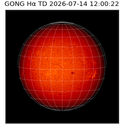 gong - 2026-07-14T12:00:22