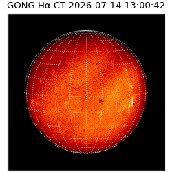 gong - 2026-07-14T13:00:42