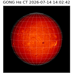 gong - 2026-07-14T14:02:42