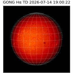 gong - 2026-07-14T19:00:22