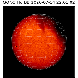 gong - 2026-07-14T22:01:02
