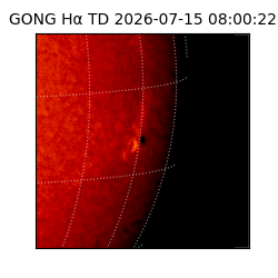 gong - 2026-07-15T08:00:22