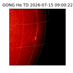 gong - 2026-07-15T09:00:22
