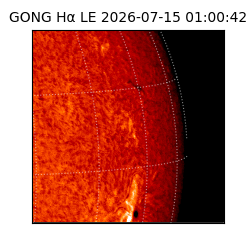 gong - 2026-07-15T01:00:42