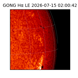 gong - 2026-07-15T02:00:42