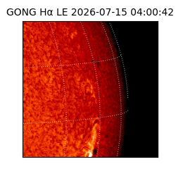 gong - 2026-07-15T04:00:42
