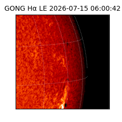 gong - 2026-07-15T06:00:42
