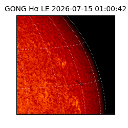 gong - 2026-07-15T01:00:42