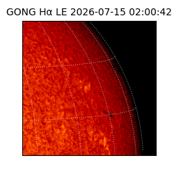 gong - 2026-07-15T02:00:42