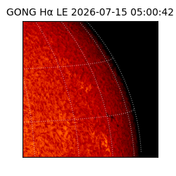 gong - 2026-07-15T05:00:42
