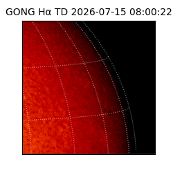 gong - 2026-07-15T08:00:22