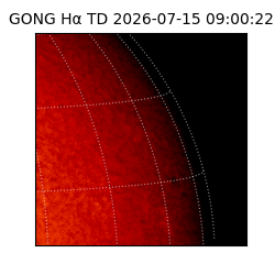 gong - 2026-07-15T09:00:22