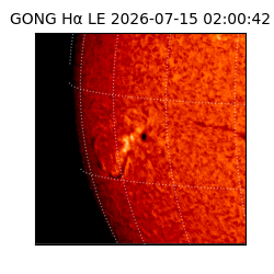 gong - 2026-07-15T02:00:42