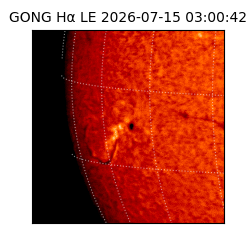 gong - 2026-07-15T03:00:42