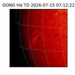 gong - 2026-07-15T07:12:22