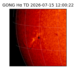 gong - 2026-07-15T12:00:22