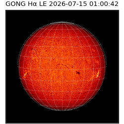 gong - 2026-07-15T01:00:42