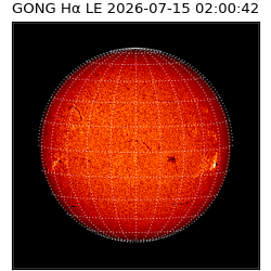 gong - 2026-07-15T02:00:42
