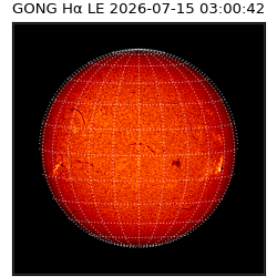 gong - 2026-07-15T03:00:42