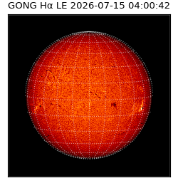 gong - 2026-07-15T04:00:42