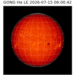 gong - 2026-07-15T06:00:42