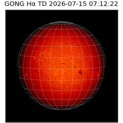 gong - 2026-07-15T07:12:22