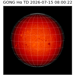 gong - 2026-07-15T08:00:22