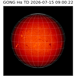 gong - 2026-07-15T09:00:22