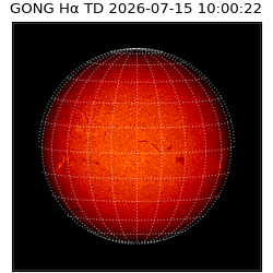 gong - 2026-07-15T10:00:22